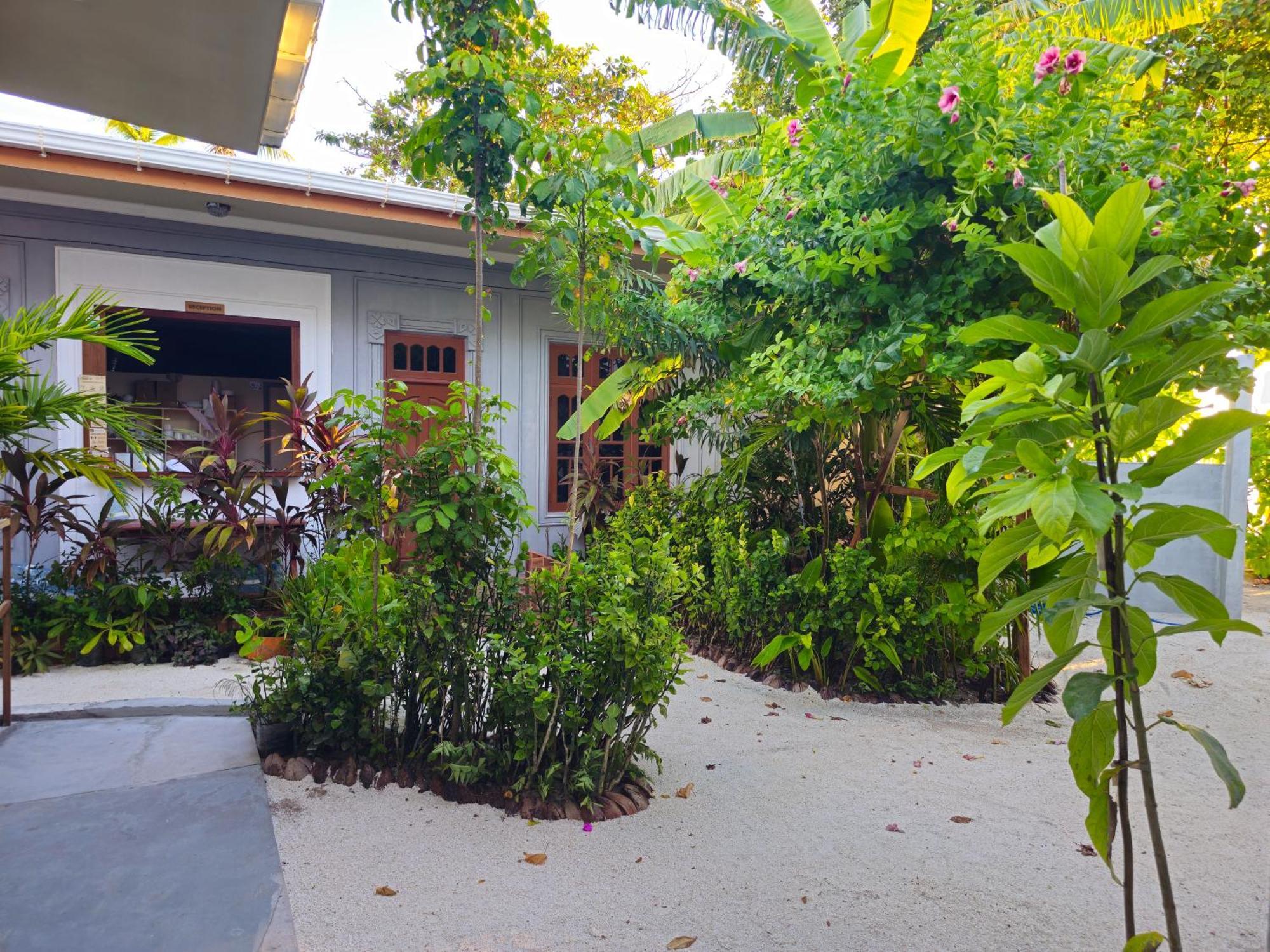 Sunset Beach View Dhangethi Exteriér fotografie