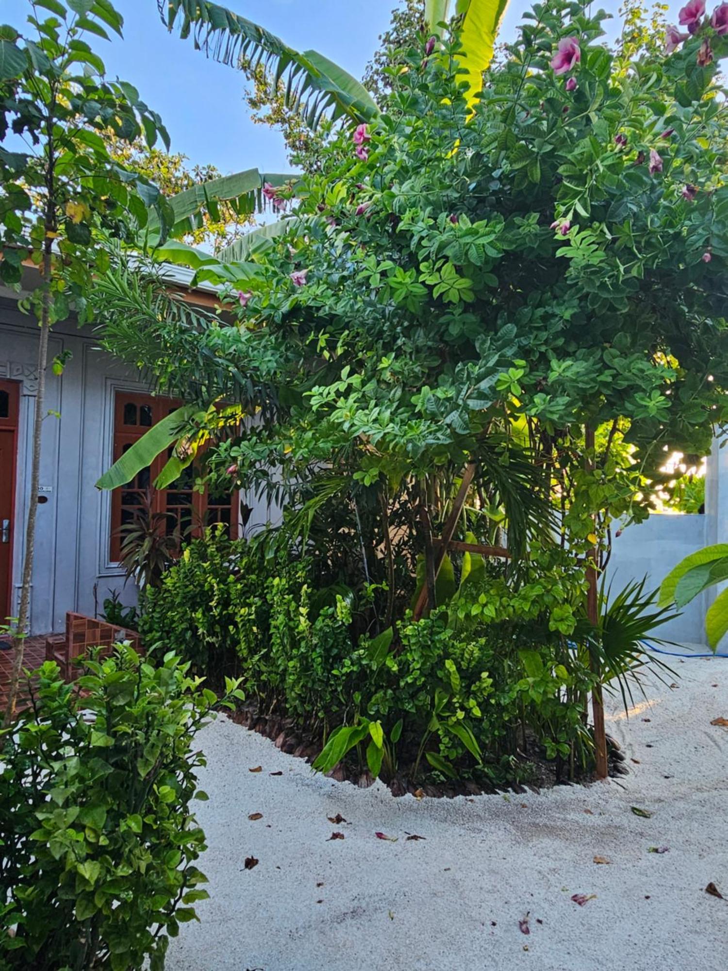 Sunset Beach View Dhangethi Exteriér fotografie